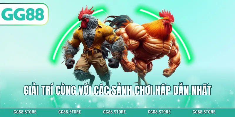 Giải trí cùng với các sảnh chơi hấp dẫn nhất