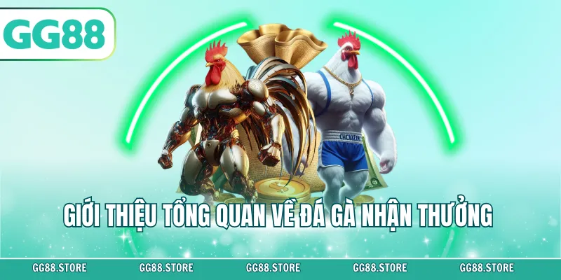 Giới thiệu tổng quan về đá gà nhận thưởng