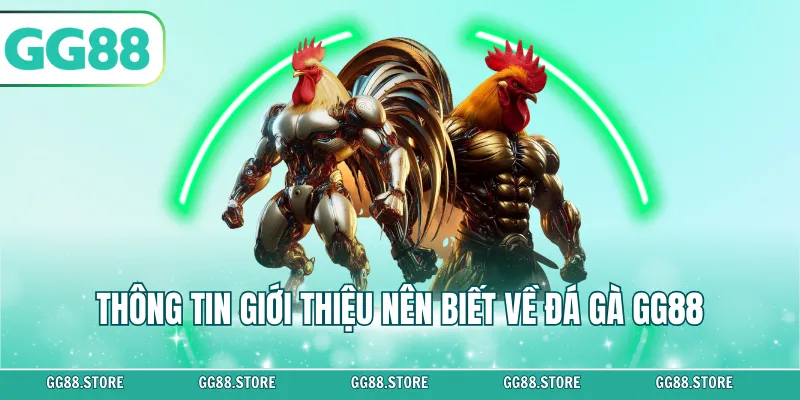 Thông tin giới thiệu nên biết về đá gà GG88